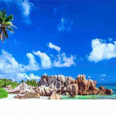 金年会手机app下载