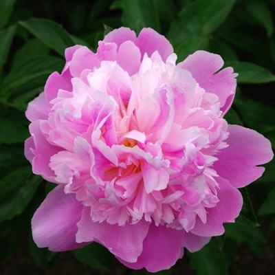 bat365中文官方网站(在线)