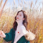 半岛bob综合登入